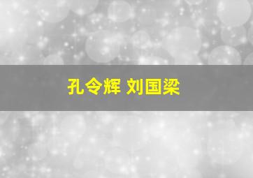 孔令辉 刘国梁